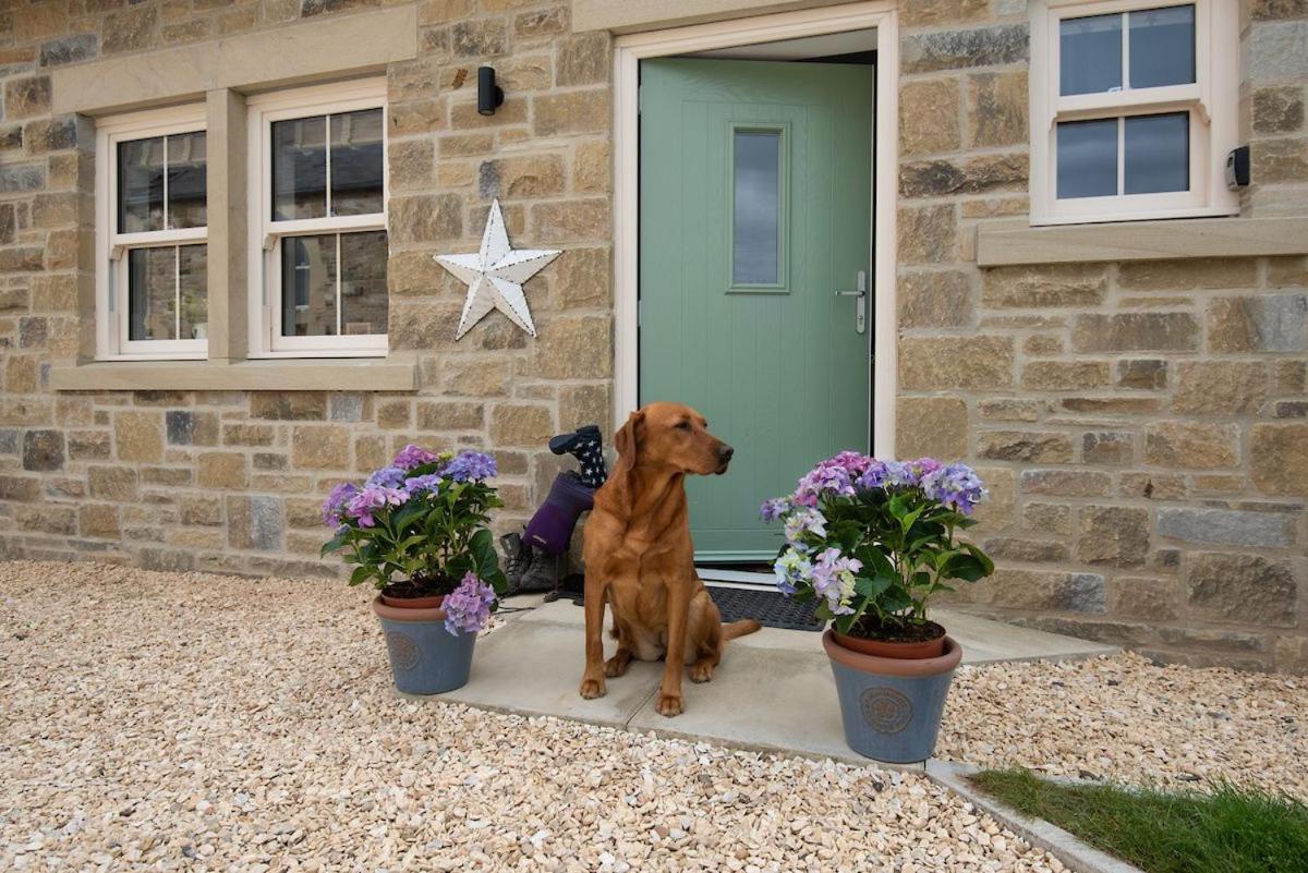 Vila The Star Barn Ingram Exteriér fotografie